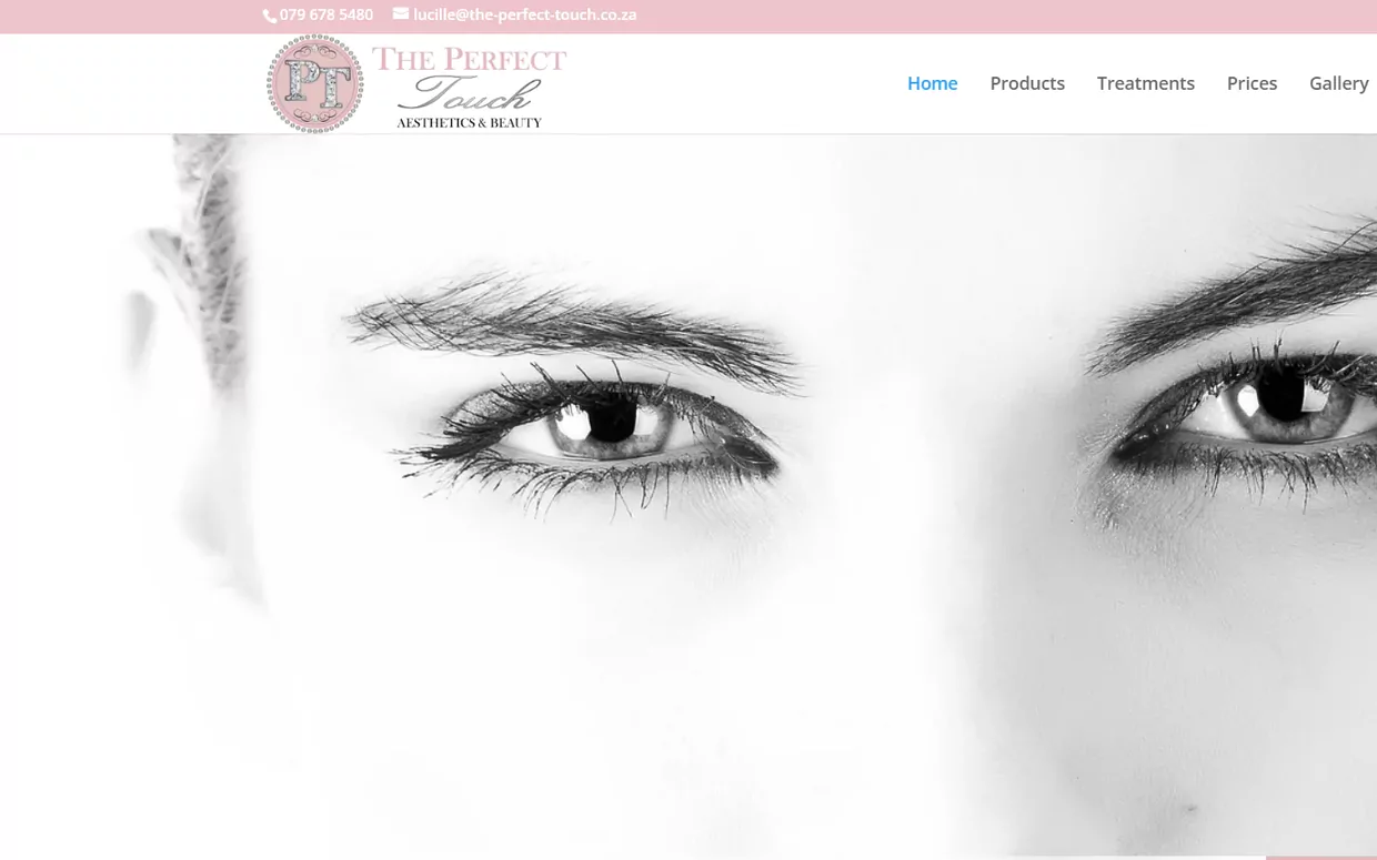 The Perfect Touch website homepage, showing a close portrait of a face above the treatment and product navigation